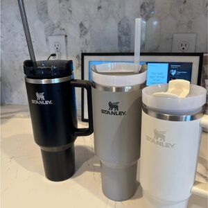 Stanley Insulated Tumblers Set